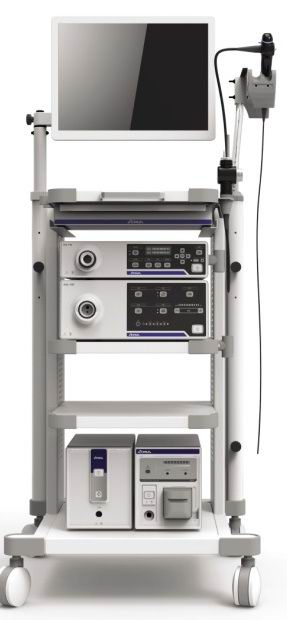 Video endoscopic stand