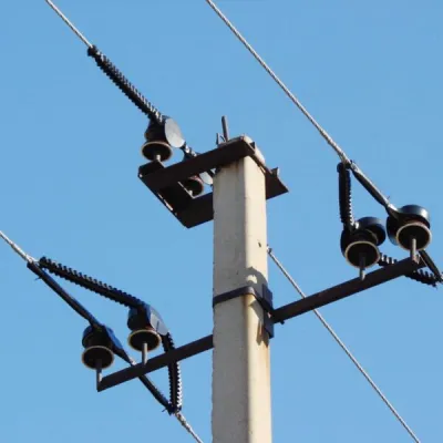 Bird-protective insulators