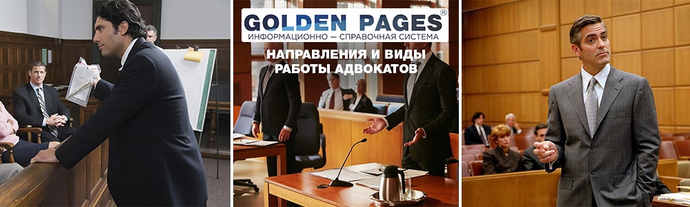 Направления и виды работы адвокатов