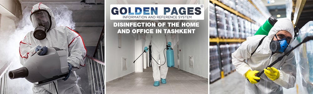Disinfection from cockroaches, bedbugs, ants in Tashkent