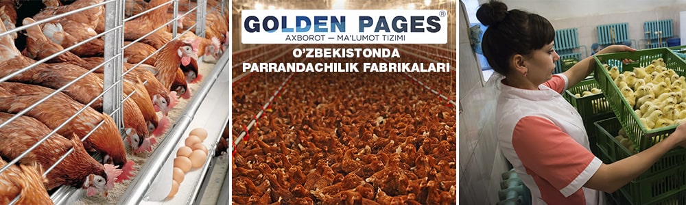 O’zbekistonda parrandachilik fabrikalari