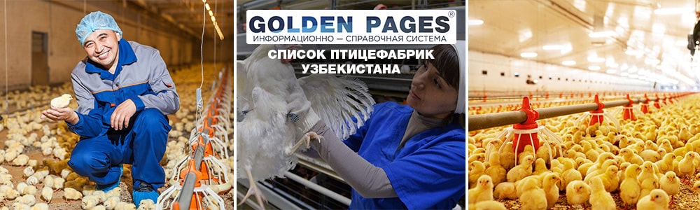 Список птицефабрик Узбекистана