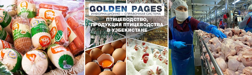 Птицеводство, продукция птицеводства в Узбекистане