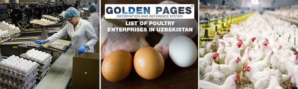 List of poultry enterprises in Uzbekistan