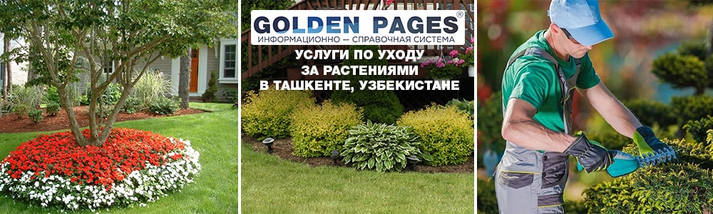Услуги по уходу за растениями на дому и в офис