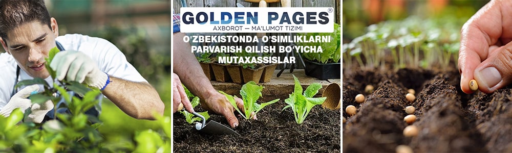 Bog'bon xizmatlari Toshkent, O'zbekistonda