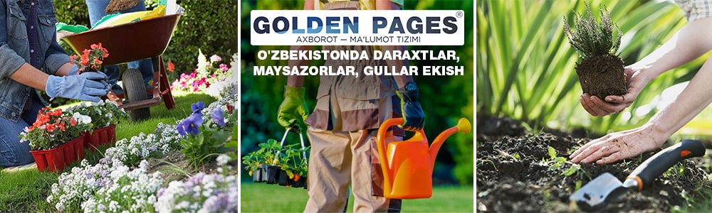 O'zbekistonda daraxtlar, maysazorlar, gullar ekish