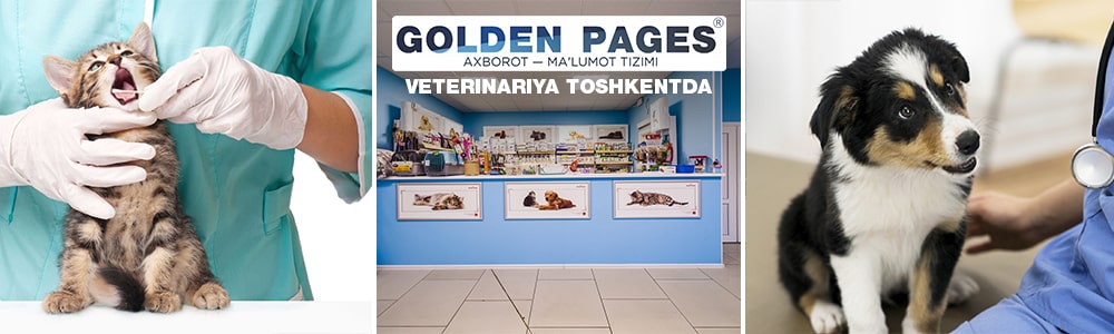 Toshkentdagi veterinariyar manzillari va raqamlari