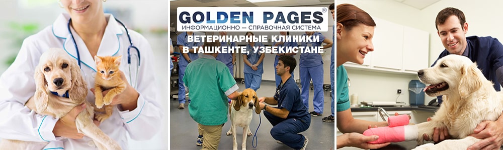 Список ветеринарных клиник Узбекистана