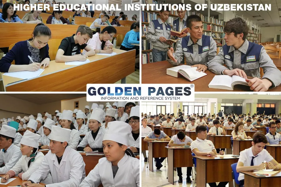 Higher educational institutions of uzbekistan