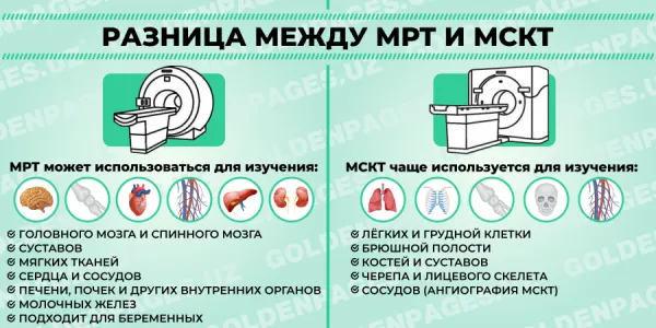 МРТ и МСКТ: в чём их отличие?